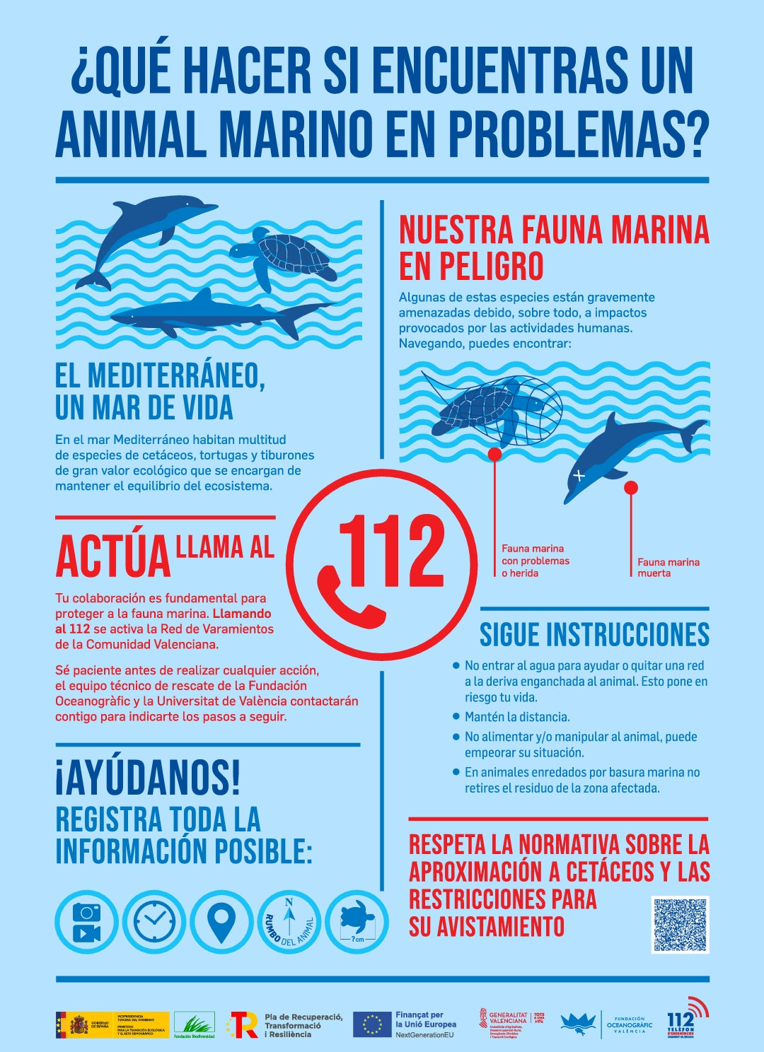 ¿QUÉ HACER SI ENCUENTRAS UN ANIMAL MARINO EN PROBLEMAS?